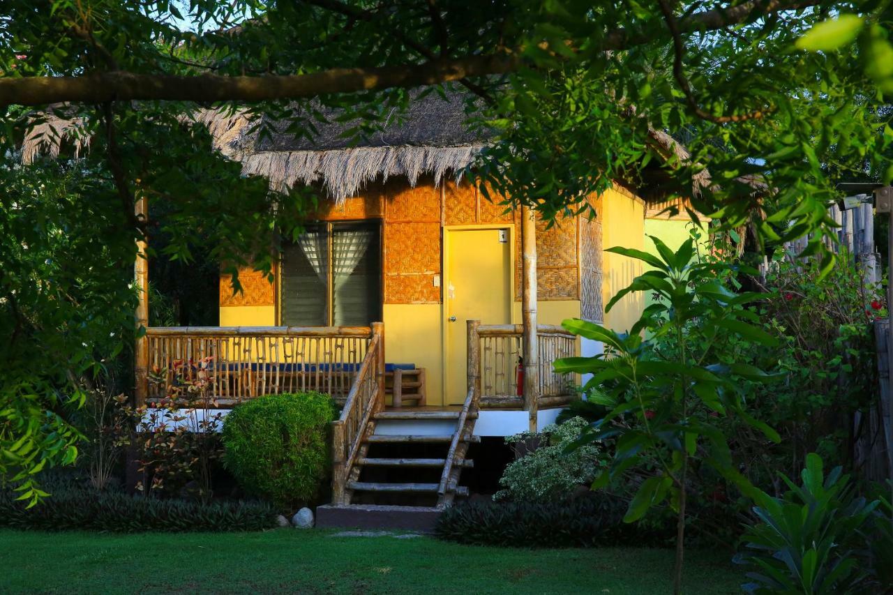 Liquid Dive Resort Dauin Exteriér fotografie